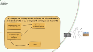 SENSE - Carte Mentale Biodiversité - Partie 3