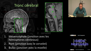 UE6 Gory Benjamin 07/04/2026 (Pt1)