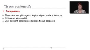 08- Les tissus conjonctifs - Composants du tissu