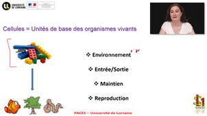 02- PACES UE2 - CM2 - La cellule et les tissus - Emilie Velot