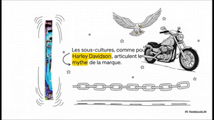 Le modèle culturel.mp4