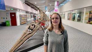 Découvrez l'expo