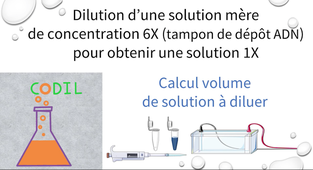 1_2_3Bcalculs_ST