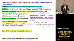 UE3 Namour Bernard 17/10/2025