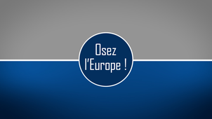 Osez l'Europe ! Projet PROGRESS : diversité en entreprise