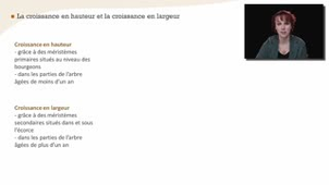 Les cernes du bois - Chapitre 1