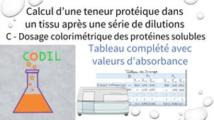 3_3_1CTableau2