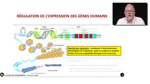 14_2.1-S1 La régulation de l'expression des gènes humains