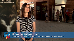 Communication & Médias - Chargé de communication : Blanche Casagrande