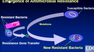 Antibiorésistance : infections urinaires et antibiogrammes cibles