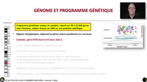 02_Le programme génétique