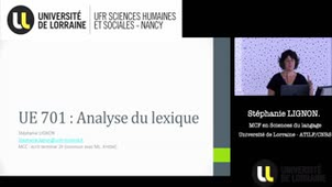 Analyse du Lexique : introduction