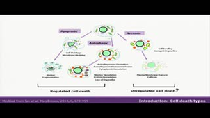 ENSIC-25-10-2016- OGy-017  - Soriano Jorge
