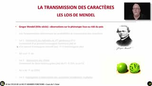 13_Les 3 lois de Mandel