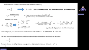 Capsule 8.1- Flamme de prémélange.mp4
