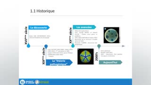 Socle de base - Introduction à la microbiologie