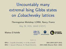 THERMOGAMAS - Uncountably Many Extremal Ising Gibbs States on Lobachevsky Lattices (Matteo d'Achille)