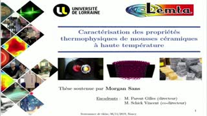 Thèse soutenance Morgan Sans