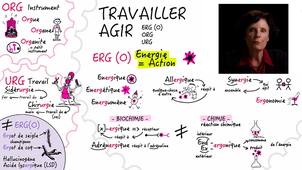 JOUR_3_2_Semaine_1_ERG(O) ORG URG