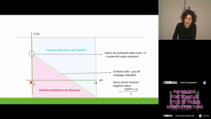 UE4 Boudier Ariane 4/11/2025