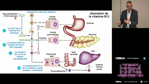 UE4 Oussalah Abderahim  10/11/2025
