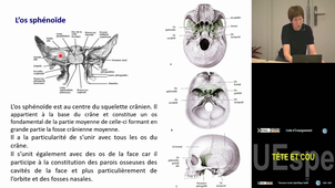 Spé tête et cou Strazielle Catherine 20/03/2025 (pt1) pass,Las2 et Las3