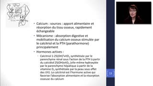 DES Gériatrie - Hypocalcémie - Christine Perret-Guillaume - Partie 2_07032017_V1