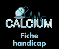 1.4.4 - Fiche Handicap