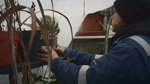Sous le Voile de l'Hiver