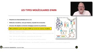 07_2.1-S1 Les molécules d'ARN