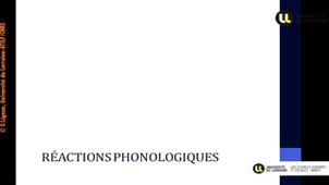 Morphophonologie-Séance 10-UE 803 SDL -Chapitre1