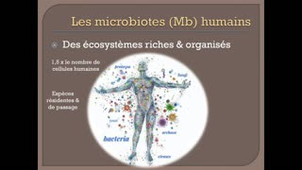 Replay DUPIAS 21-22 Microbiotes