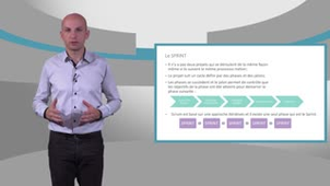 Pilotage de projet de transformation digitale - Davy Monticolo