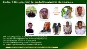 07_Considérations linguistiques fulfuldé, kotoko et kanuri' des couleurs dans les perspectives agro- alimentaires et le développement animalier du Nor