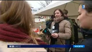 Journée d'action sur l'Ile du Saulcy