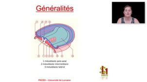 13- PACES UE2 - CM13 - La cellule et les tissus - Emilie Velot