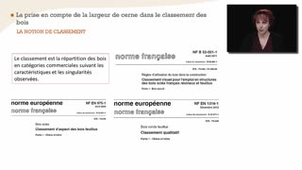 Parenthèse technologique : largeur de cerne, densité et classement des bois - Chapitre 4bis - partie 2
