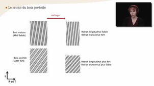 Parenthèse technologique : conséquences de la structure de la paroi sur le retrait et le gonflement - Chapitre 7bis - partie 2
