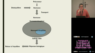 UE4 Malaplate Catherine 5/11/2025