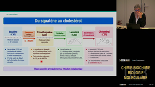 UE3 Malaplate Catherine 09/10/2026