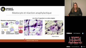 UE1 Auchet Nathalie 13/11/2025