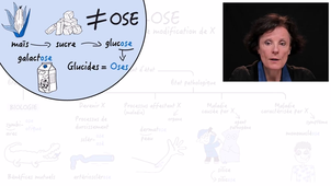 JOUR_2_Semaine_2_OSE