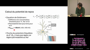UE4 Jonas Jacques (Pt1) 25/11/2025