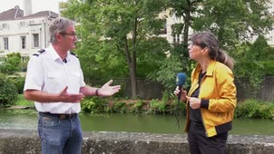 Live Insolite avec Bambou
