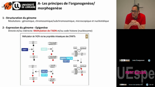 Spé_P-Bassin Nemos Christophe 20/3/25 (pt1) PASS