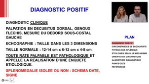 ECN 272 - Splenomegalie