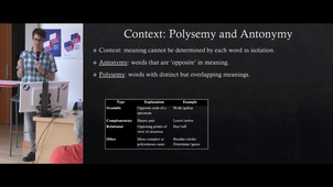 012 - James Fodor - The Importance of Context in the Evaluation of Word Embeddings The Effects of Antonymy and Polysemy