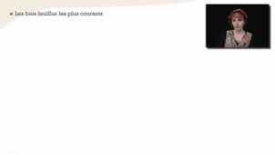 Reconnaissance des feuillus à l'échelle microscopique - Chapitre 23 - partie 1