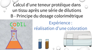 3_3_1Bexperience1_ST