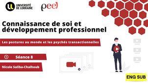 Connaissance de soi et développement professionnel - Les postures au monde et les psychés transactionnelles - eng sub